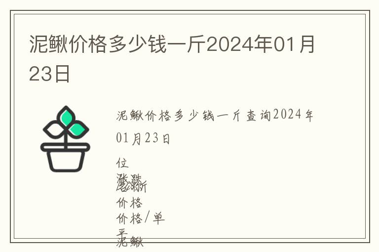 泥鰍價(jià)格多少錢(qián)一斤2024年01月23日