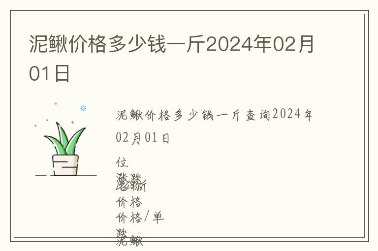 泥鰍價(jià)格多少錢一斤2024年02月01日