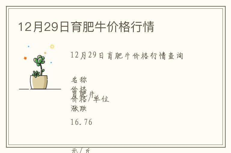 12月29日育肥牛價格行情