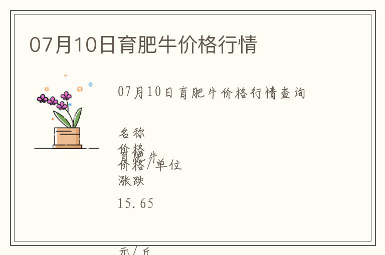 07月10日育肥牛價格行情