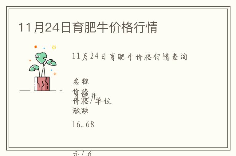 11月24日育肥牛價格行情