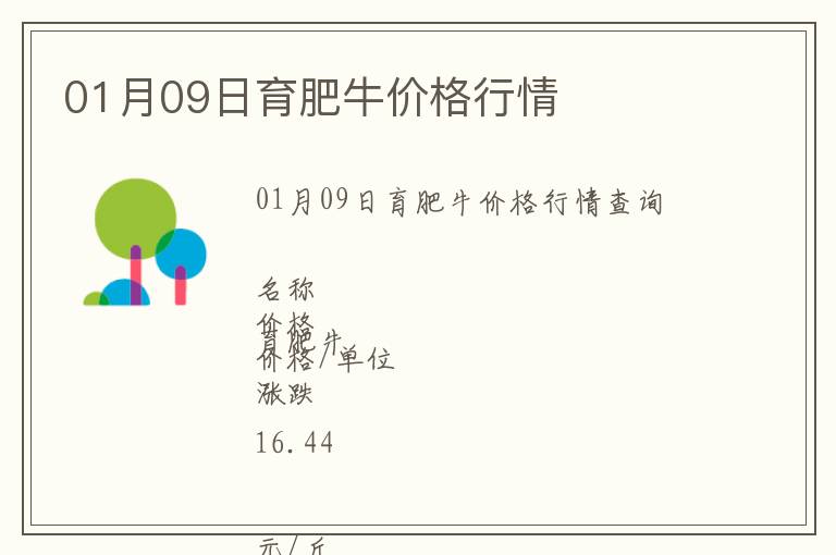 01月09日育肥牛價格行情
