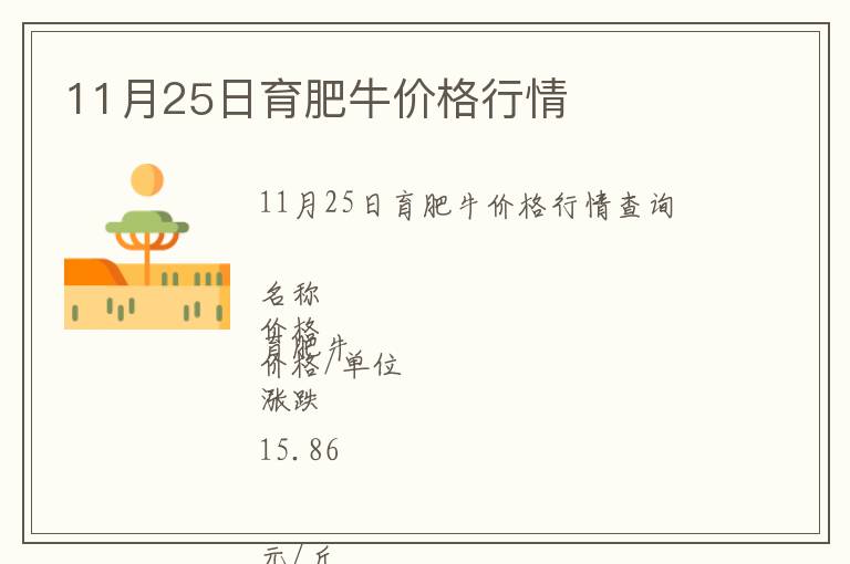 11月25日育肥牛價格行情