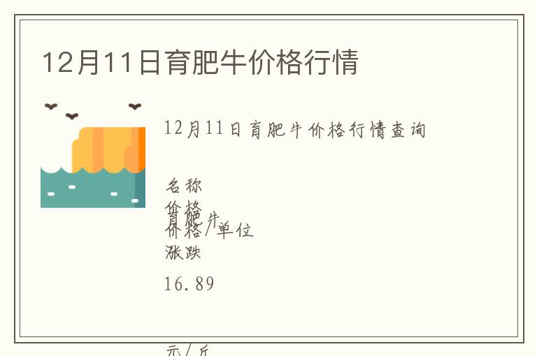 12月11日育肥牛價(jià)格行情
