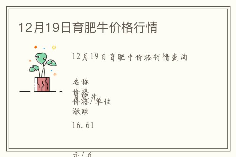 12月19日育肥牛價格行情
