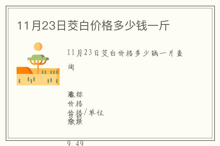 11月23日茭白價格多少錢一斤