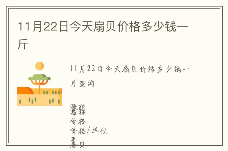 11月22日今天扇貝價格多少錢一斤