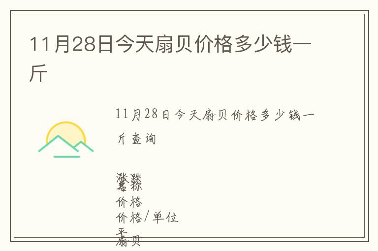 11月28日今天扇貝價格多少錢一斤