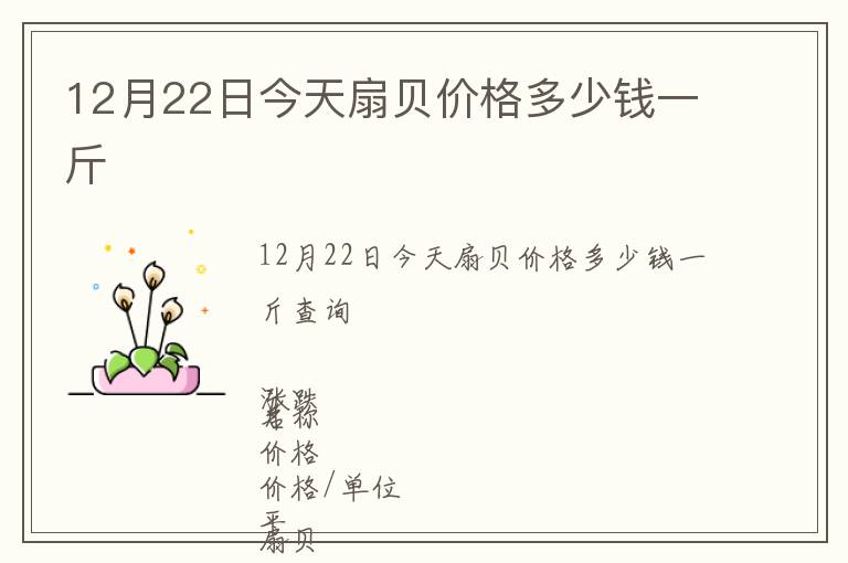 12月22日今天扇貝價格多少錢一斤