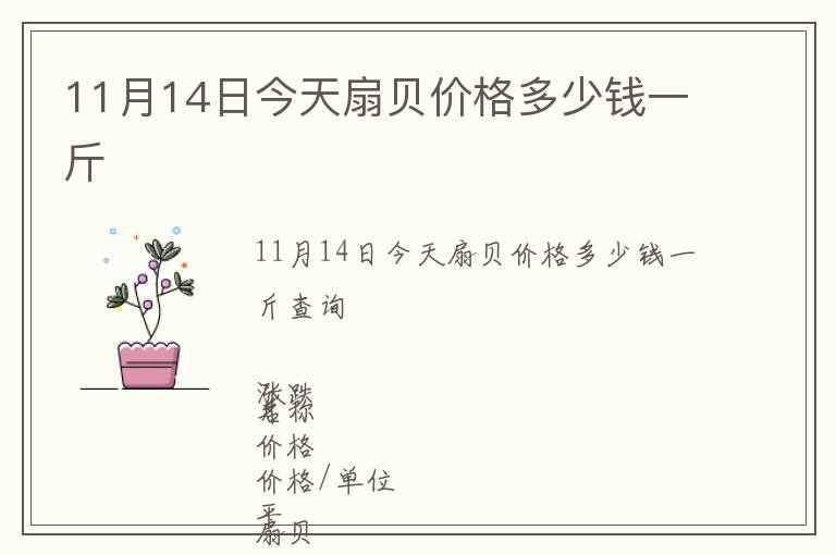 11月14日今天扇貝價格多少錢一斤