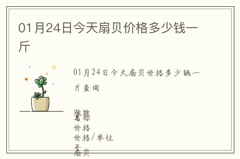 01月24日今天扇貝價格多少錢一斤