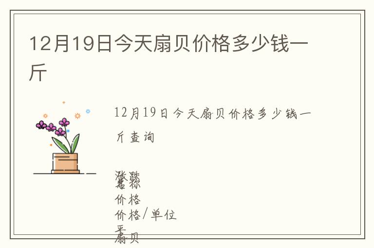 12月19日今天扇貝價格多少錢一斤