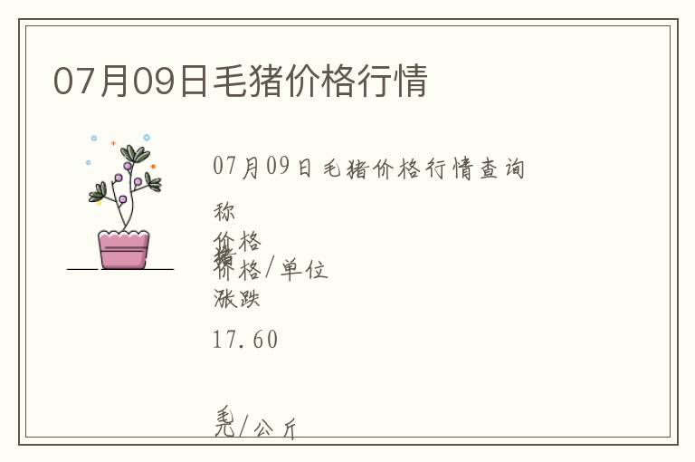 07月09日毛豬價格行情