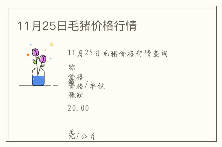11月25日毛豬價格行情