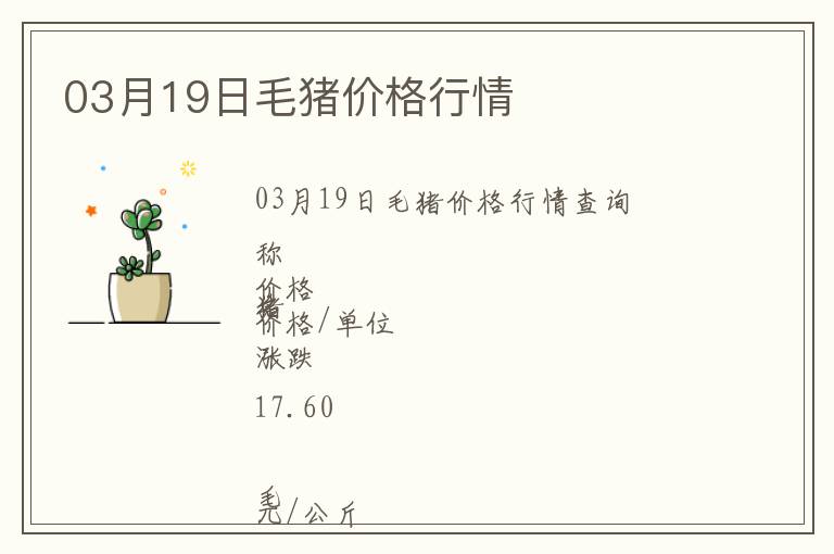 03月19日毛豬價格行情