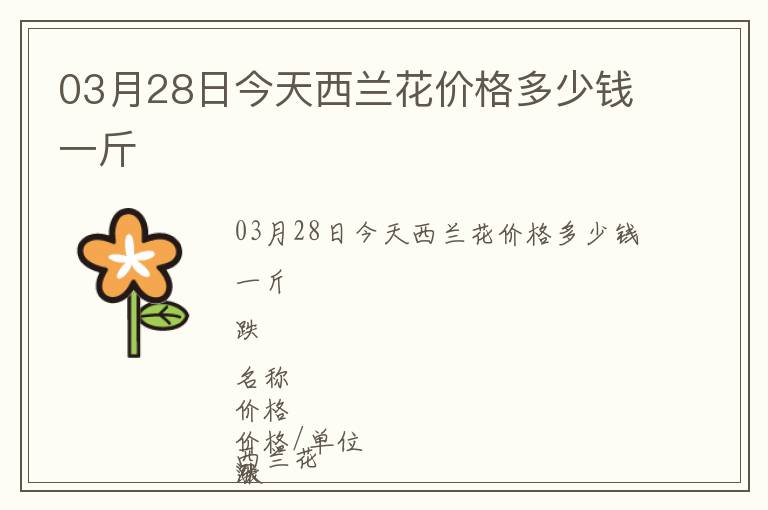 03月28日今天西蘭花價格多少錢一斤