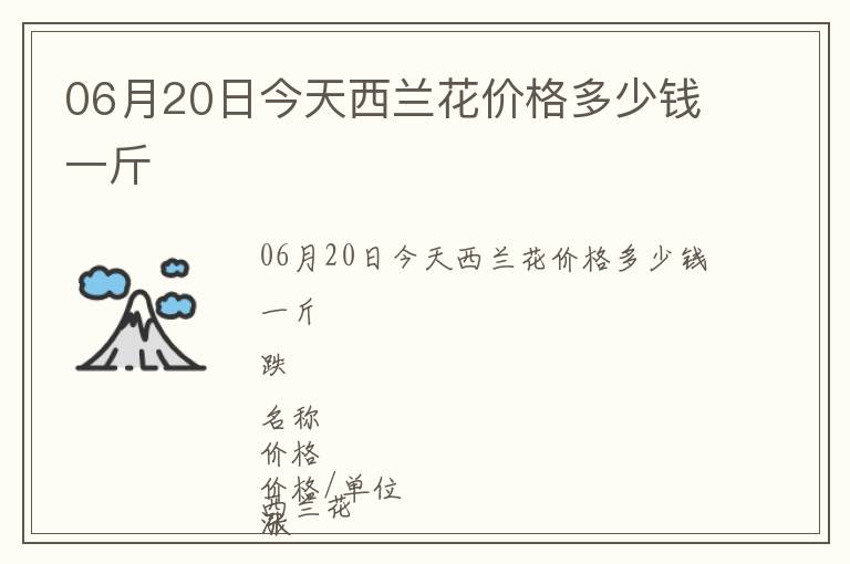 06月20日今天西蘭花價格多少錢一斤