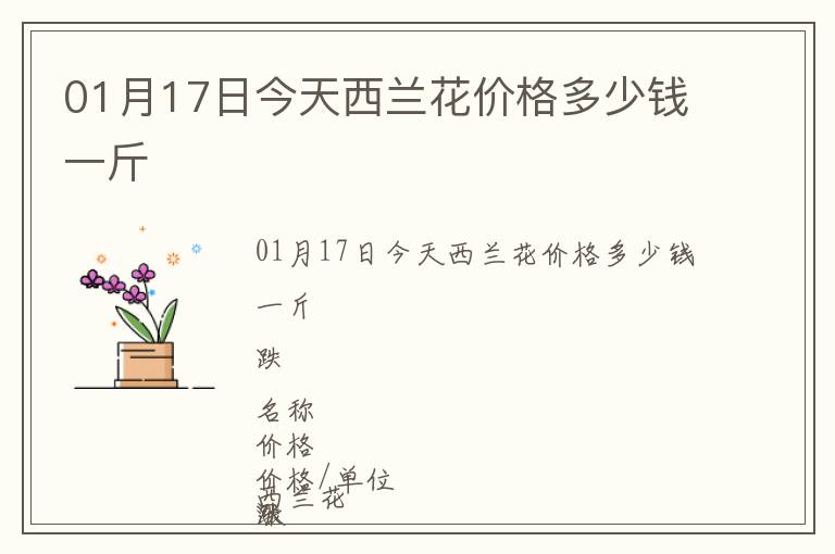 01月17日今天西蘭花價(jià)格多少錢一斤