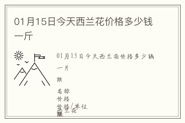 01月15日今天西蘭花價格多少錢一斤