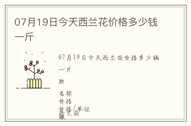 07月19日今天西蘭花價格多少錢一斤