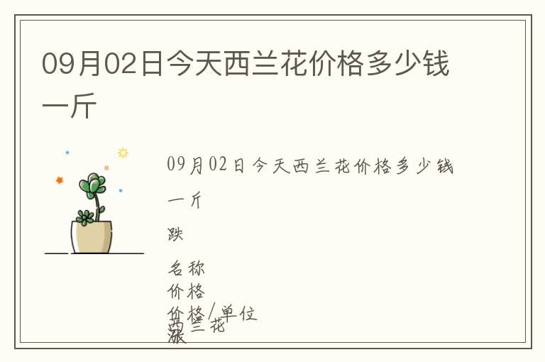 09月02日今天西蘭花價(jià)格多少錢(qián)一斤