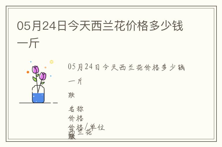 05月24日今天西蘭花價格多少錢一斤