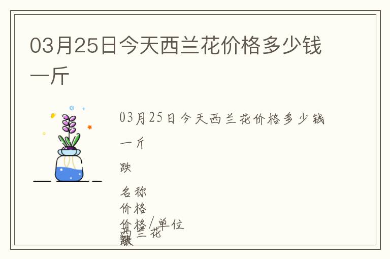 03月25日今天西蘭花價格多少錢一斤