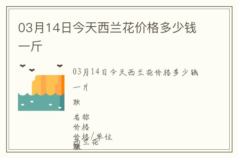 03月14日今天西蘭花價格多少錢一斤