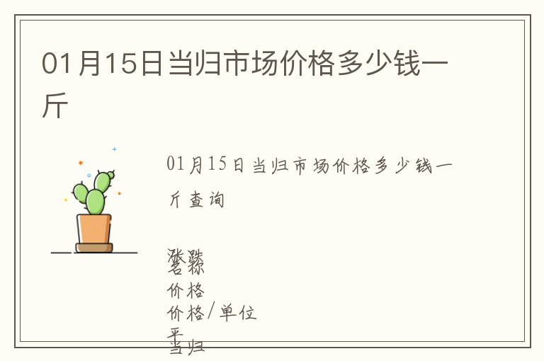 01月15日當歸市場價格多少錢一斤