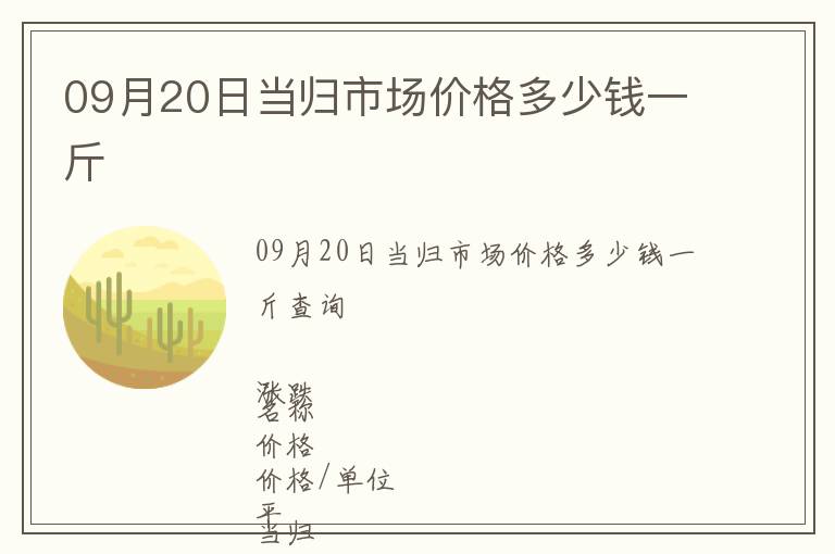 09月20日當歸市場價格多少錢一斤