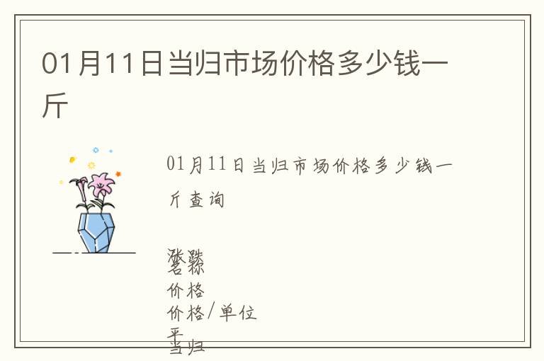 01月11日當歸市場價格多少錢一斤