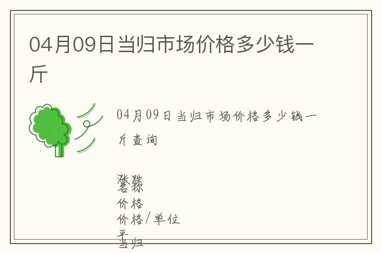 04月09日當歸市場價格多少錢一斤