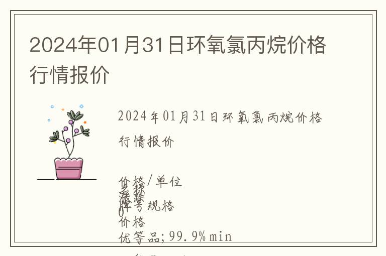 2024年01月31日環(huán)氧氯丙烷價格行情報價