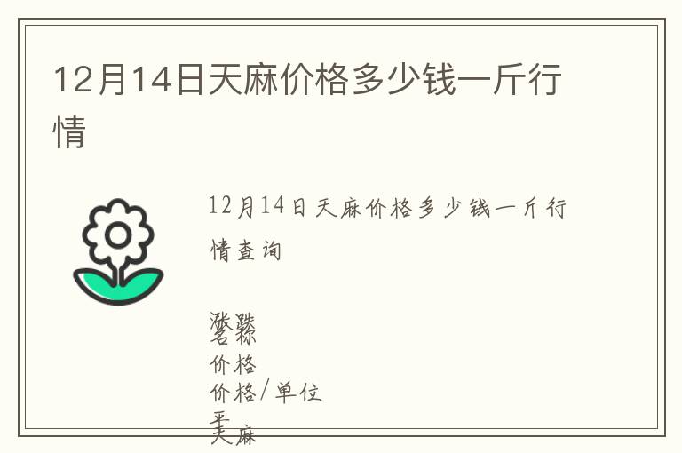 12月14日天麻價格多少錢一斤行情