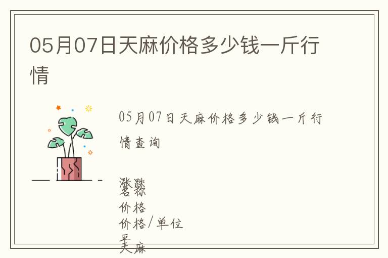 05月07日天麻價格多少錢一斤行情