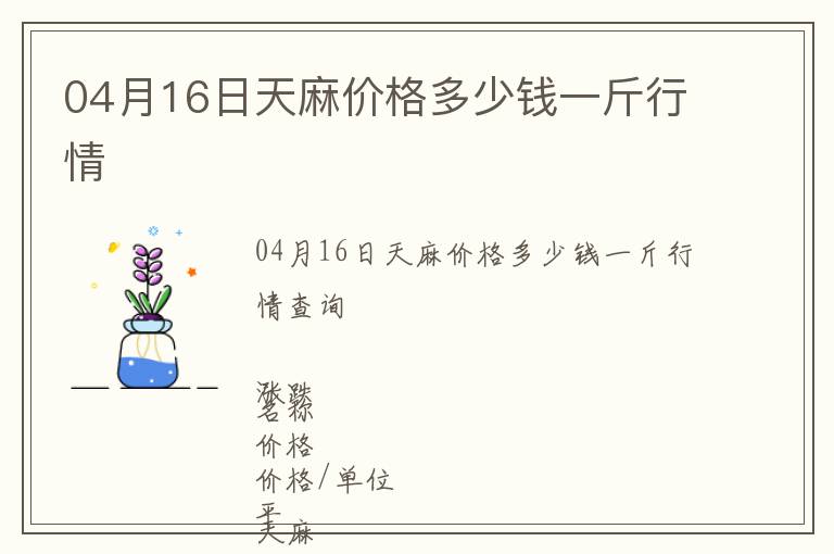 04月16日天麻價格多少錢一斤行情