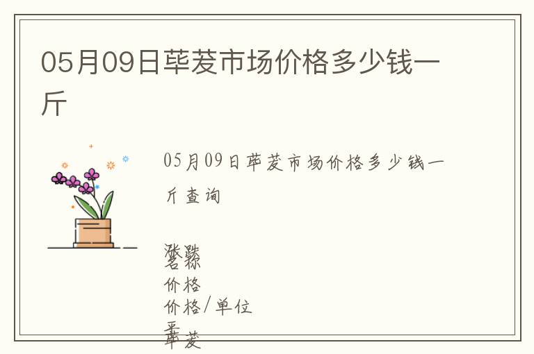 05月09日蓽茇市場價格多少錢一斤