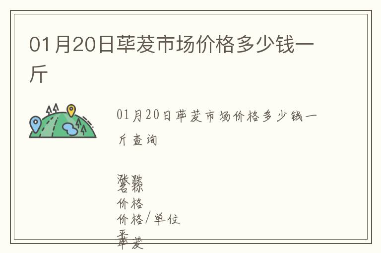 01月20日蓽茇市場價格多少錢一斤