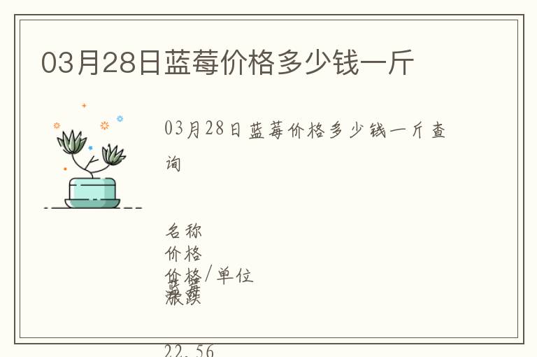 03月28日藍莓價格多少錢一斤