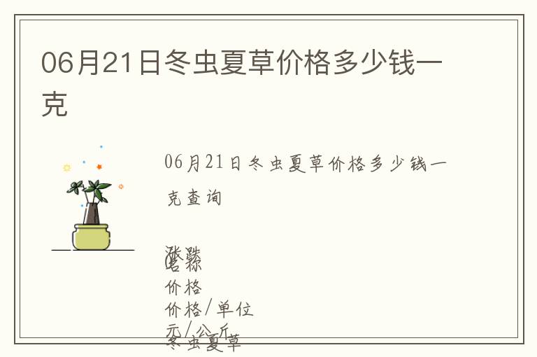 06月21日冬蟲夏草價格多少錢一克