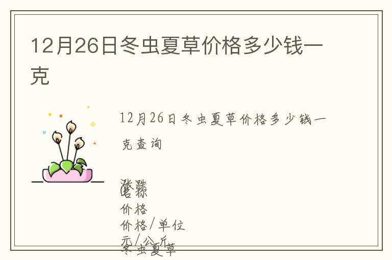 12月26日冬蟲夏草價格多少錢一克