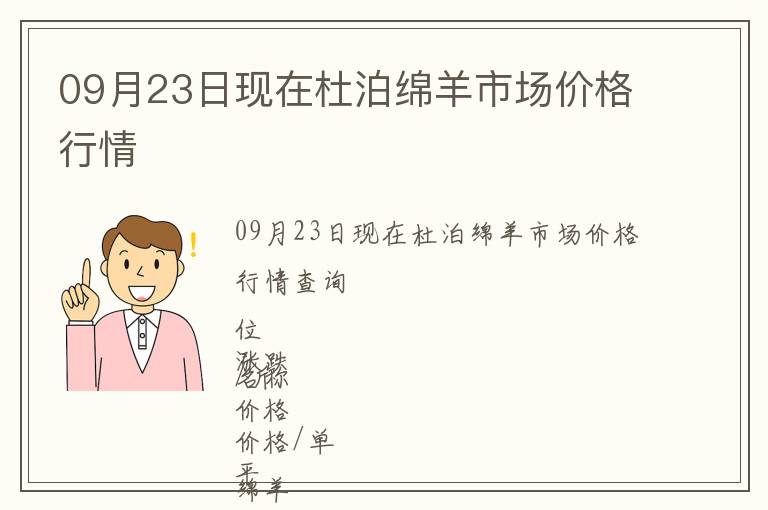 09月23日現在杜泊綿羊市場價格行情