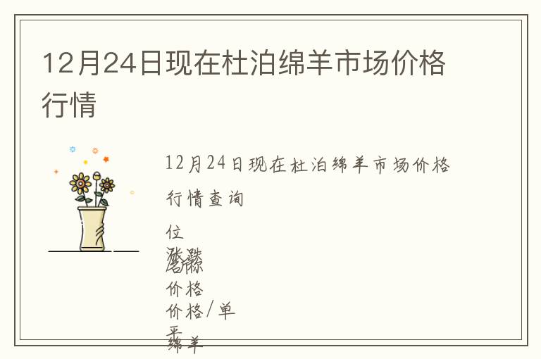 12月24日現在杜泊綿羊市場價格行情