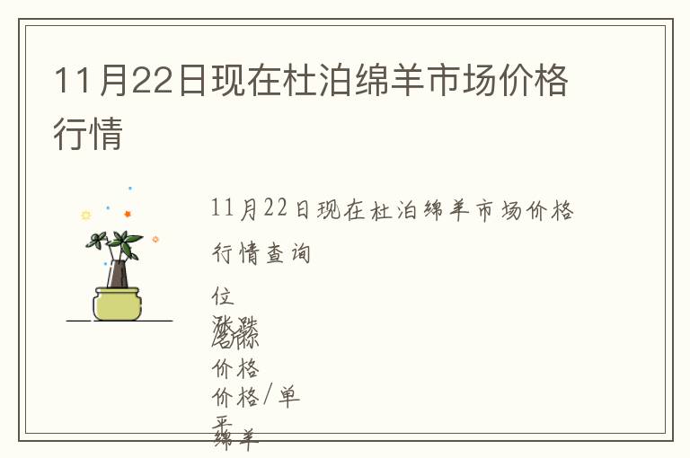 11月22日現在杜泊綿羊市場價格行情