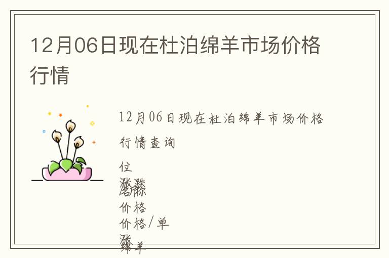 12月06日現在杜泊綿羊市場價格行情