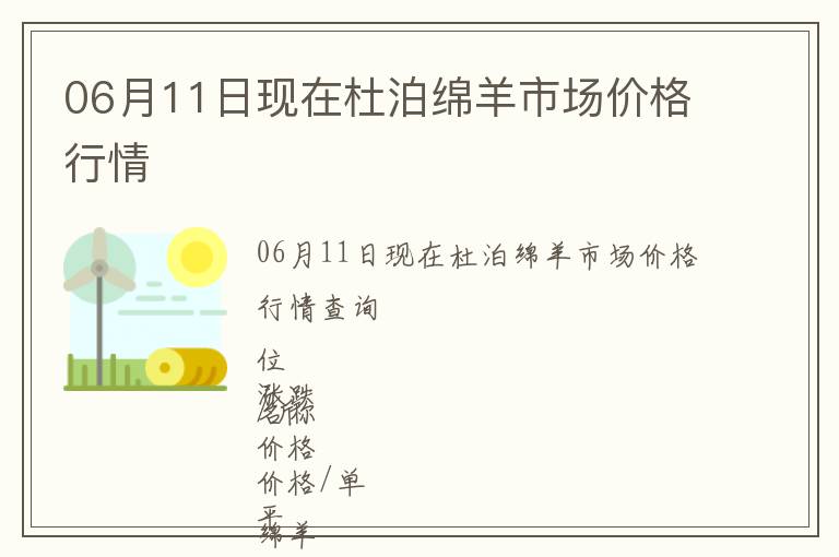 06月11日現在杜泊綿羊市場價格行情