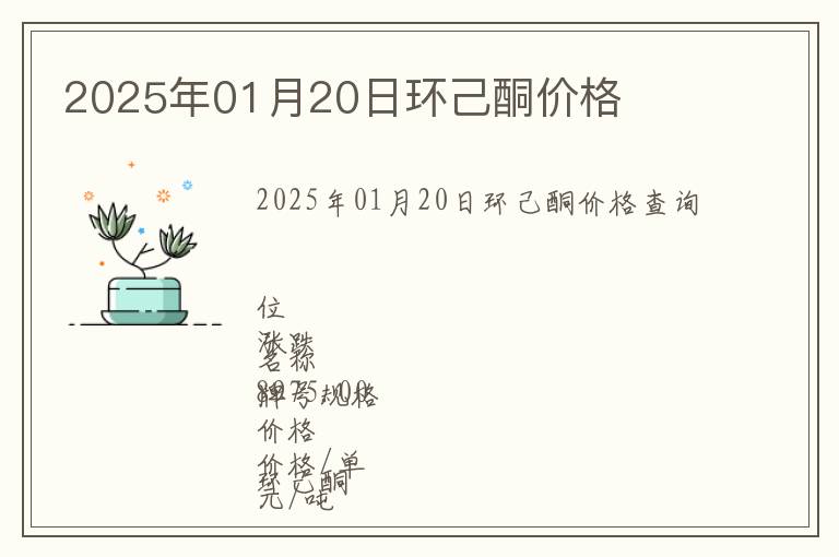 2025年01月20日環己酮價格