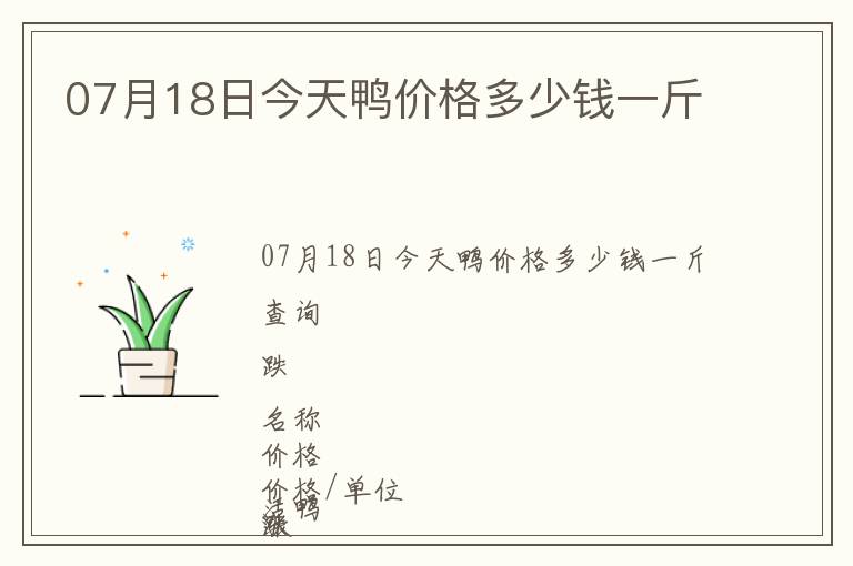 07月18日今天鴨價格多少錢一斤