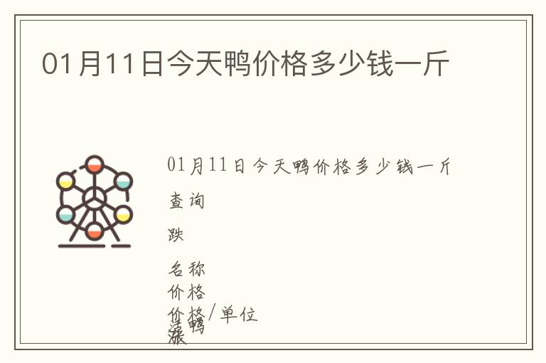 01月11日今天鴨價格多少錢一斤