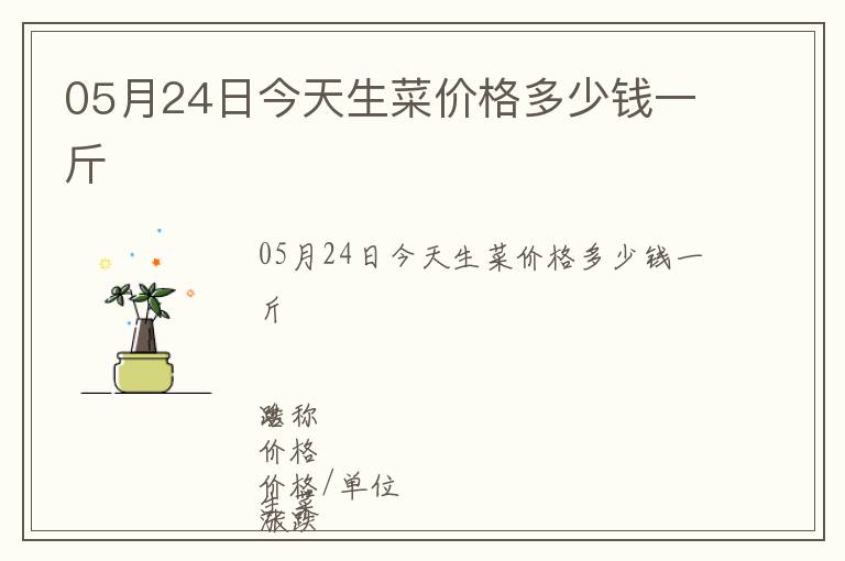 05月24日今天生菜價格多少錢一斤